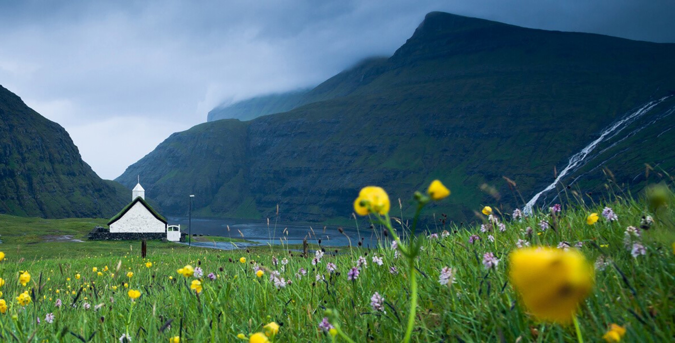 Nature & Environment