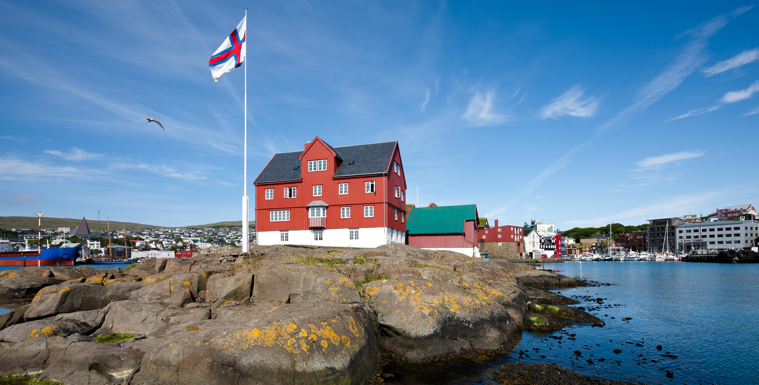 Government & Politics